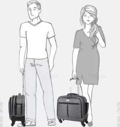 Decent Laptoptrolleys Bellatrix 22 Decent Laptoptrolleys Bellatrix -Reisopslagwinkel 1132x1200