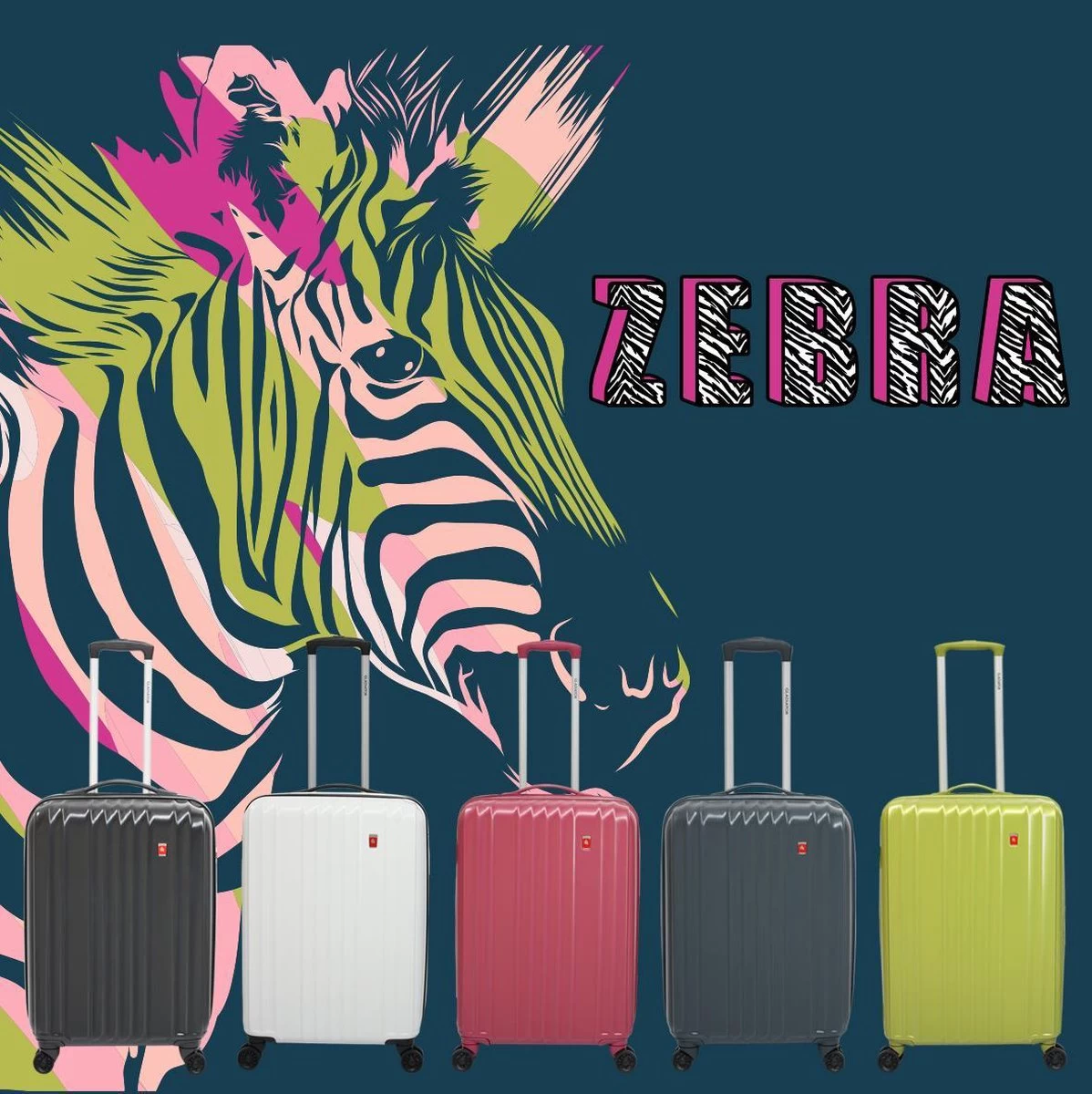 Gladiator Zebra L Spinner 78 Expandable - Zwart 8 Gladiator Zebra L Spinner 78 Expandable - Zwart - Afbeelding 8
