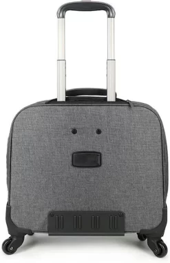 Decent Laptoptrolleys Bellatrix 29 Decent Laptoptrolleys Bellatrix -Reisopslagwinkel 773x1200